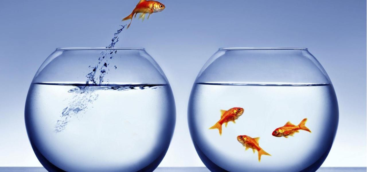 Changing Career? Here are 5 Tips for Your Resume! Changing Career? Here are 5 Tips for Your Resume!